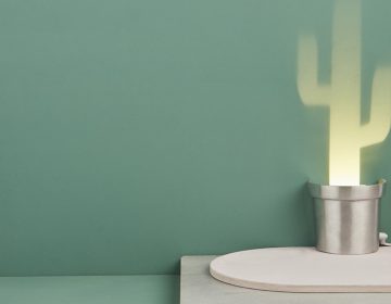 Cute Cactus Lamps by Chen Bikovski
